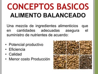 • Potencial productivo
• Eficiencia
• Calidad
• Menor costo Producción
CONCEPTOS BASICOS
ALIMENTO BALANCEADO
Una mezcla de ingredientes alimenticios que
en cantidades adecuadas asegura el
suministro de nutrientes de acuerdo:
 