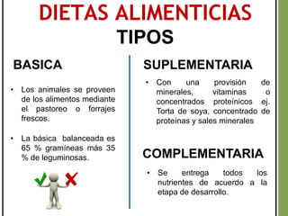 DIETAS ALIMENTICIAS
TIPOS
• Los animales se proveen
de los alimentos mediante
el pastoreo o forrajes
frescos.
• La básica balanceada es
65 % gramíneas más 35
% de leguminosas.
BASICA
• Con una provisión de
minerales, vitaminas o
concentrados proteínicos ej.
Torta de soya, concentrado de
proteínas y sales minerales
SUPLEMENTARIA
COMPLEMENTARIA
• Se entrega todos los
nutrientes de acuerdo a la
etapa de desarrollo.
 