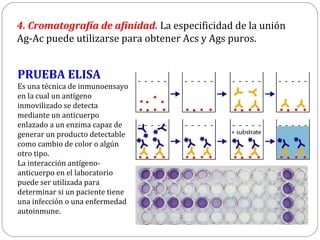 4. Cromatografía de afinidad. La especificidad de la unión
Ag-Ac puede utilizarse para obtener Acs y Ags puros.
PRUEBA ELISA
Es una técnica de inmunoensayo
en la cual un antígeno
inmovilizado se detecta
mediante un anticuerpo
enlazado a un enzima capaz de
generar un producto detectable
como cambio de color o algún
otro tipo.
La interacción antígeno-
anticuerpo en el laboratorio
puede ser utilizada para
determinar si un paciente tiene
una infección o una enfermedad
autoinmune.
 