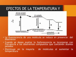 EFECTOS DE LA TEMPERATURA Y
DEL DISOLVENTE
• La fluorescencia de una molécula se reduce en presencia del
disolvente
• Cuando se desea exaltar la fosforescencia se incorporan con
frecuencia a los disolventes compuestos que contienen átomos
pesados
• Disminuye en la mayoria de moléculas al aumentar la
temperatura
 