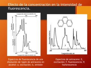 Efecto de la concentración en la intensidad de
fluorescencia.
Espectros de antraceno: E,
excitación; F, fluorescencia; P,
fosforescencia
Espectros de fluorescencia de una
disolución de 1ppm de antraceno en
alcohol: a, excitación; b, emisión
 