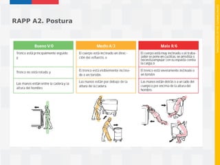 Mac Rapp Metodos mac v_mac_rapp_metodologias_de_e (1) | PDF