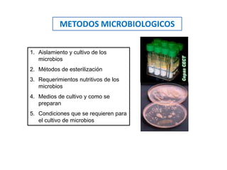METODOS MICROBIOLOGICOS
1. Aislamiento y cultivo de los
microbios
2. Métodos de esterilización
3. Requerimientos nutritivos de los
microbios
4. Medios de cultivo y como se
preparan
5. Condiciones que se requieren para
el cultivo de microbios
 