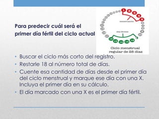 Para predecir cuál será el
primer día fértil del ciclo actual



• Buscar el ciclo más corto del registro.
• Restarle 18 al número total de días.
• Cuente esa cantidad de días desde el primer día
  del ciclo menstrual y marque ese día con una X.
  Incluya el primer día en su cálculo.
• El día marcado con una X es el primer día fértil.
 