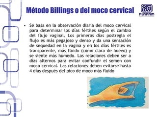 Método Billings o del moco cervical  Se basa en la observación diaria del moco cervical para determinar los días fértiles según el cambio del flujo vaginal. Los primeros días postregla el flujo es más pegajoso y denso y da una sensación de sequedad en la vagina y en los días fértiles es transparente, más fluido (como clara de huevo) y se siente más húmedo. Las relaciones deben ser a días alternos para evitar confundir el semen con moco cervical. Las relaciones deben evitarse hasta 4 días después del pico de moco más fluido 