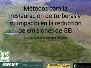 Métodos para la
restauración de turberas y
su impacto en la reducción
de emisiones de GEI
Ana Maria Planas and Rod Chimner
 