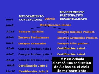 Metodos participativos acdi honduras julio-11