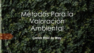 Métodos Para la
Valoración
Ambiental
Carlos Raul Jo Way
 