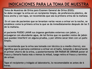 Metodos y procedimientos de recoleccion de muestras. sangre, heces ...