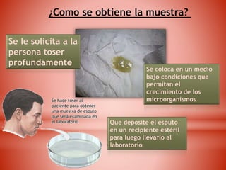 Metodos y procedimientos de recoleccion de muestras. sangre, heces ...