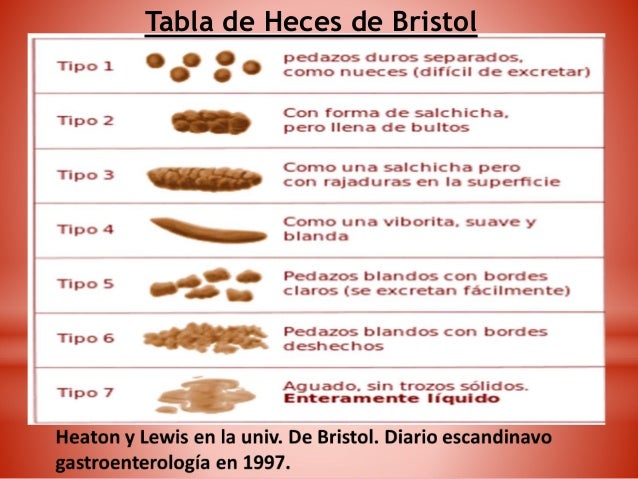 Como matar las lombrices en el hígado