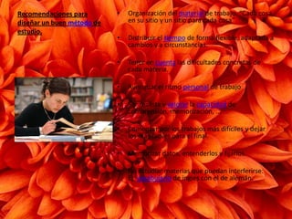 Recomendaciones para diseñar un buen método de estudio.Organización del material de trabajo. “Cada cosa en su sitio y un sitio para cada cosa”Distribuir el tiempo de forma flexible, adaptada a cambios y a circunstancias.Tener en cuenta las dificultades concretas de cada materia.Averiguar el ritmo personal de trabajoSer realista y valorar la capacidad de comprensión, memorización, ...Comenzar por los trabajos más difíciles y dejar los más fáciles para el final.Memorizar datos, entenderlos y fijarlos.No estudiar materias que puedan interferirse: Ej, vocabulario de ingles con el de alemán.