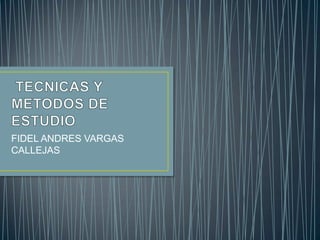  TECNICAS Y METODOS DE ESTUDIO FIDEL ANDRES VARGAS CALLEJAS 