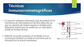  La reacción antígeno-anticuerpo que se produce en la
membrana de nitrocelulosa es de fácil detección ya
que no requiere de ningún equipo ni medida para
detectarla, puesto que se revela con un color poco
visible en la línea de test.
 Además se puede comparar el resultado con un
control que también se revela en una línea que se
encuentra en la misma membrana.
Técnicas
inmunocromatográficas
 