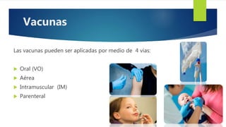 Las vacunas pueden ser aplicadas por medio de 4 vías:
 Oral (VO)
 Aérea
 Intramuscular (IM)
 Parenteral
Vacunas
 