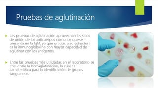 Pruebas de aglutinación
 Las pruebas de aglutinación aprovechan los sitios
de unión de los anticuerpos como los que se
presenta en la IgM, ya que gracias a su estructura
es la inmunoglobulina con mayor capacidad de
aglutinar con los antígenos.
 Entre las pruebas más utilizadas en el laboratorio se
encuentra la hemaglutinación, la cual es
característica para la identificación de grupos
sanguíneos.
 