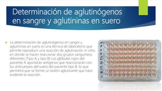 Determinación de aglutinógenos
en sangre y aglutininas en suero
 La determinación de aglutinógenos en sangre y
aglutininas en suero es una técnica de laboratorio que
permite reproducir una reacción de aglutinación in vitro,
en donde se hacen reaccionar dos grupos sanguíneos
diferentes (Tipo A y tipo B) Los glóbulos rojos del
paciente A aportarán antígenos que reaccionarán con
los anticuerpos del suero del paciente tipo B, lo que
permitirá que se forme un botón aglutinante que hace
evidente la reacción.
 