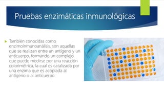 Pruebas enzimáticas inmunológicas
 También conocidas como
enzimoinmunoanálisis, son aquellas
que se realizan entre un antígeno y un
anticuerpo, formando un complejo
que puede medirse por una reacción
colorimétrica, la cual es catalizada por
una enzima que es acoplada al
antígeno o al anticuerpo.
 