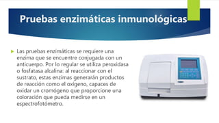  Las pruebas enzimáticas se requiere una
enzima que se encuentre conjugada con un
anticuerpo. Por lo regular se utiliza peroxidasa
o fosfatasa alcalina: al reaccionar con el
sustrato, estas enzimas generarán productos
de reacción como el oxígeno, capaces de
oxidar un cromógeno que proporcione una
coloración que pueda medirse en un
espectrofotómetro.
Pruebas enzimáticas inmunológicas
 