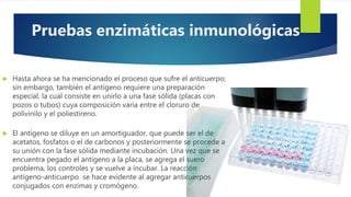  Hasta ahora se ha mencionado el proceso que sufre el anticuerpo;
sin embargo, también el antígeno requiere una preparación
especial, la cual consiste en unirlo a una fase sólida (placas con
pozos o tubos) cuya composición varía entre el cloruro de
polivinilo y el poliestireno.
 El antígeno se diluye en un amortiguador, que puede ser el de
acetatos, fosfatos o el de carbonos y posteriormente se procede a
su unión con la fase sólida mediante incubación. Una vez que se
encuentra pegado el antígeno a la placa, se agrega el suero
problema, los controles y se vuelve a incubar. La reacción
antígeno-anticuerpo se hace evidente al agregar anticuerpos
conjugados con enzimas y cromógeno.
Pruebas enzimáticas inmunológicas
 