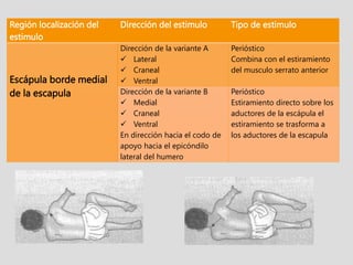 Región localización del
estimulo
Dirección del estimulo Tipo de estimulo
Escápula borde medial
de la escapula
Dirección de la variante A
 Lateral
 Craneal
 Ventral
Perióstico
Combina con el estiramiento
del musculo serrato anterior
Dirección de la variante B
 Medial
 Craneal
 Ventral
En dirección hacia el codo de
apoyo hacia el epicóndilo
lateral del humero
Perióstico
Estiramiento directo sobre los
aductores de la escápula el
estiramiento se trasforma a
los aductores de la escapula
 