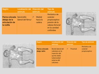 Región Localización del
estimulo
Dirección del
estimulo
Tipo de
estimulo
Pierna colocada
debajo de la
articulación de
la rodilla
Epicóndilo
lateral del fémur
 Medial
hacia la
cadera
Perióstico de
carácter
propioceptivo
presión de la
cabeza femoral
en la cavidad
cotiloidea
Región Localización del
estimulo
Dirección del
estimulo
Tipo de estimulo
Pierna colocada
abajo, talón
Borde lateral del
calcáneo en la
inserción del
quinto dedo
tuberosidad
externa del
calcáneo
 Proximal
Perióstico de
carácter
propioceptivo
 