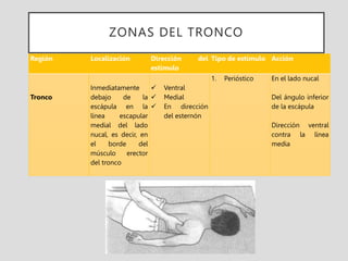Región Localización Dirección del
estímulo
Tipo de estímulo Acción
Tronco
Inmediatamente
debajo de la
escápula en la
línea escapular
medial del lado
nucal, es decir, en
el borde del
músculo erector
del tronco
 Ventral
 Medial
 En dirección
del esternón
1. Perióstico En el lado nucal
Del ángulo inferior
de la escápula
Dirección ventral
contra la línea
media
ZONAS DEL TRONCO
 