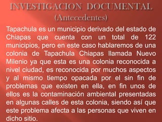 Tapachula es un municipio derivado del estado de
Chiapas que cuenta con un total de 122
municipios, pero en este caso hablaremos de una
colonia de Tapachula Chiapas llamada Nuevo
Milenio ya que esta es una colonia reconocida a
nivel ciudad, es reconocida por muchos aspectos
y al mismo tiempo opacada por el sin fin de
problemas que existen en ella, en fin unos de
ellos es la contaminación ambiental presentadas
en algunas calles de esta colonia, siendo así que
este problema afecta a las personas que viven en
dicho sitio.
 