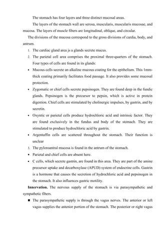 The stomach has four layers and three distinct mucosal areas.
       The layers of the stomach wall are serosa, muscularis, muscularis mucosae, and
mucosa. The layers of muscle fibers are longitudinal, oblique, and circular.
   The divisions of the mucosa correspond to the gross divisions of cardia, body, and
antrum.
   1. The cardiac gland area js a glands secrete mucus.

   2. The parietal cell area comprises the proximal three-quarters of the stomach.

       Four types of cells are found in its glands:
   •   Mucous cells secrete an alkaline mucous coating for the epithelium. This 1mm-
       thick coating primarily facilitates food passage. It also provides some mucosal
       protection.
   •   Zygomatic or chief cells secrete pepsinogen. They are found deep in the fundic
       glands. Pepsinogen is the precursor to pepsin, which is active in protein
       digestion. Chief cells are stimulated by cholinergic impulses, by gastrin, and by
       secretin.
   •   Oxyntic or parietal cells produce hydrochloric acid and intrinsic factor. They
       are found exclusively in the fundus and body of the stomach. They are
       stimulated to produce hydrochloric acid by gastrin.
   •   Argentaffin cells are scattered throughout the stomach. Their function is
       unclear
   3. The pyloroantral mucosa is found in the antrum of the stomach.

   • Parietal and chief cells are absent here.
   •   C cells, which secrete gastrin, are found in this area. They are part of the amine
       precursor uptake and decarboxylase (APUD) system of endocrine cells. Gastrin
       is a hormone that causes the secretion of hydrochloric acid and pepsinogen in
       the stomach. It also influences gastric motility.
   Innervation. The nervous supply of the stomach is via parasympathetic and
sympathetic fibers.
    The parasympathetic supply is through the vagus nerves. The anterior or left

       vagus supplies the anterior portion of the stomach. The posterior or right vagus
 