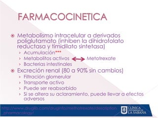  Metabolismo intracelular a derivados
poliglutamato (inhiben la dihidrofolato
reductasa y timidilato sintetasa)
› Acumulación***
› Metabolitos activos Metotrexate
› Bacterias intestinales
 Excreción renal (80 a 90% sin cambios)
› Filtración glomerular
› Transporte activo
› Puede ser reabsorbido
› Si se altera su aclaramiento, puede llevar a efectos
adversos
http://www.druglib.com/druginfo/methotrexate/description
_pharmacology/
 