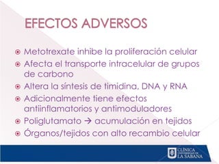  Metotrexate inhibe la proliferación celular
 Afecta el transporte intracelular de grupos
de carbono
 Altera la síntesis de timidina, DNA y RNA
 Adicionalmente tiene efectos
antiinflamatorios y antimoduladores
 Poliglutamato  acumulación en tejidos
 Órganos/tejidos con alto recambio celular
 