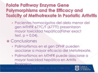 › Pacientes homocigotos del alelo menor del
gen MTHFR 677C/T (677TT) presentaron
mayor toxicidad hepática(Fisher exact
test, p = 0.04).
 Conclusiones
› Polimorfismos en el gen DFHR pueden
asociarse a mayor eficacia del Metotrexate.
› Polimorfismos en MTHFR puede asociarse a
mayor toxicidad hepática en Artritis
Psoriasica
The Journal of Rheumatology July 1, 2010 , vol. 37 no. 7 1508-1512
 