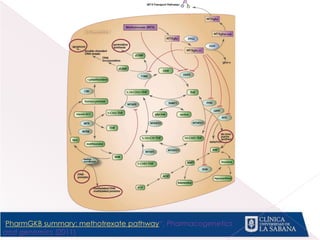 "PharmGKB summary: methotrexate pathway“, Pharmacogenetics
and genomics (2011)
 