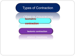 Types of Contraction
Isometric
contraction
Isotonic contraction
 