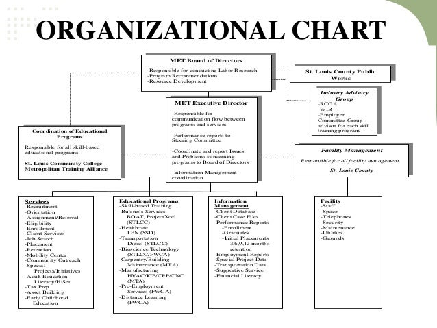 Mta Organizational Chart