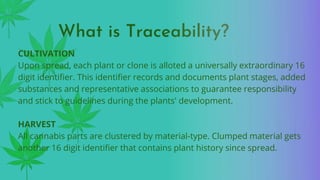What is Traceability?
CULTIVATION
Upon spread, each plant or clone is alloted a universally extraordinary 16
digit identifier. This identifier records and documents plant stages, added
substances and representative associations to guarantee responsibility
and stick to guidelines during the plants' development.
HARVEST
All cannabis parts are clustered by material-type. Clumped material gets
another 16 digit identifier that contains plant history since spread.
 