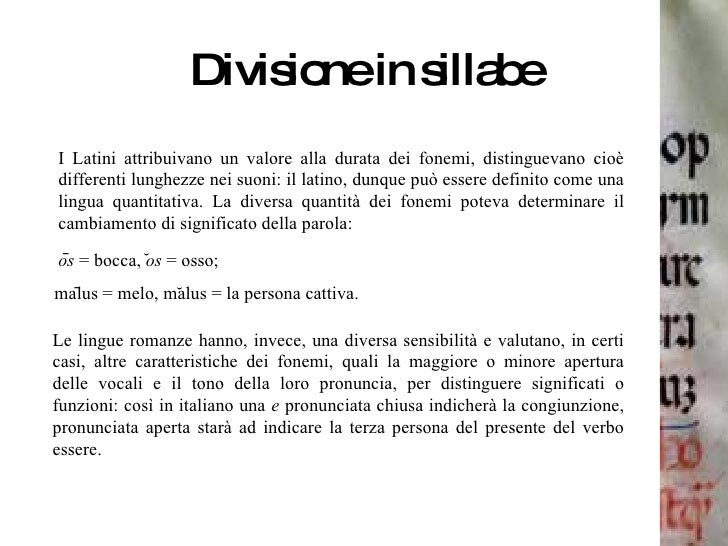 Divisione In Sillabe Latino On Line