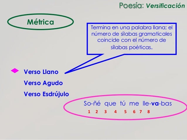 Metrica y rima