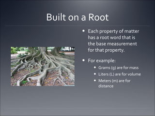 Meter Roots Words. Example Metric Converstions (Metric Steps with King Henry saying) | PPT