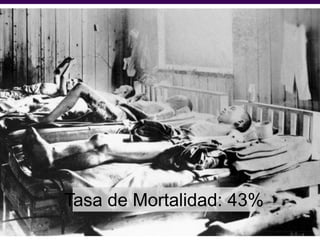3
Tasa de Mortalidad: 43%
 