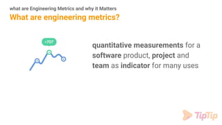 Metrics that Matters in Software Engineering | PDF