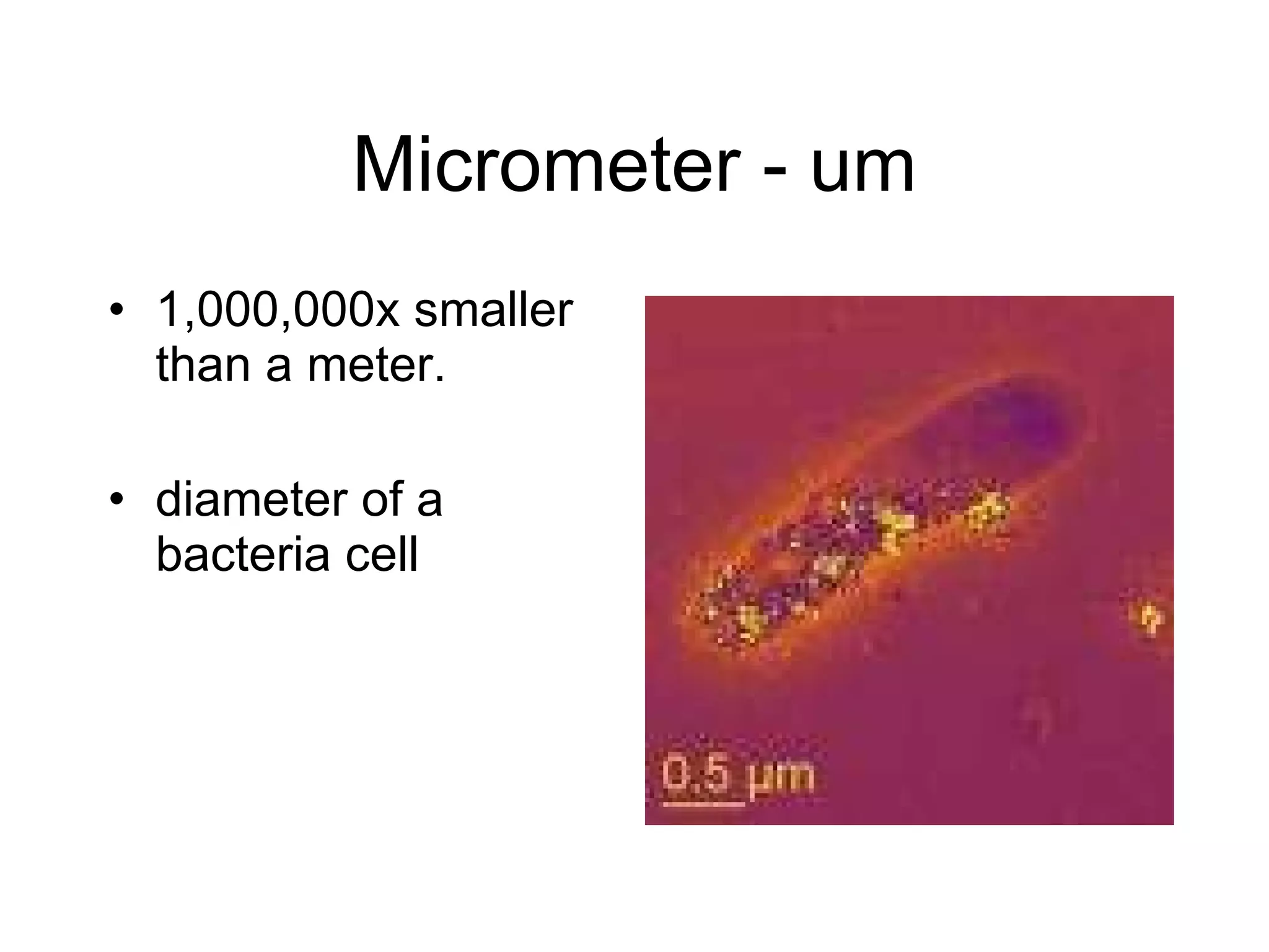 Micrometer - um 1,000,000x smaller than a meter. diameter of a bacteria cell 