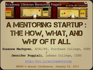 A Mentoring Startup: The How, What, and Why of it All