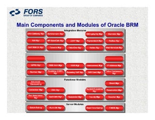 Metrocom: first telco billing built on oracle brm - Alexey Gamburg ...