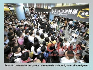 Estación de transbordo, parece el retrato de las hormigas en el hormiguero.
 