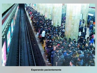 Esperando pacientemente
 