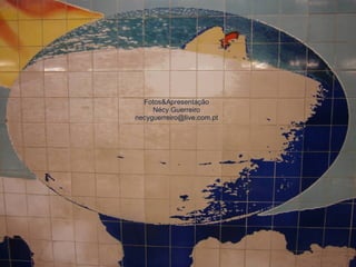 Fotos&Apresentação Nécy Guerreiro [email_address] 