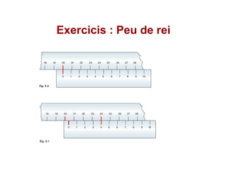 Exercicis : Peu de rei
 
