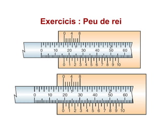 Exercicis : Peu de rei
 