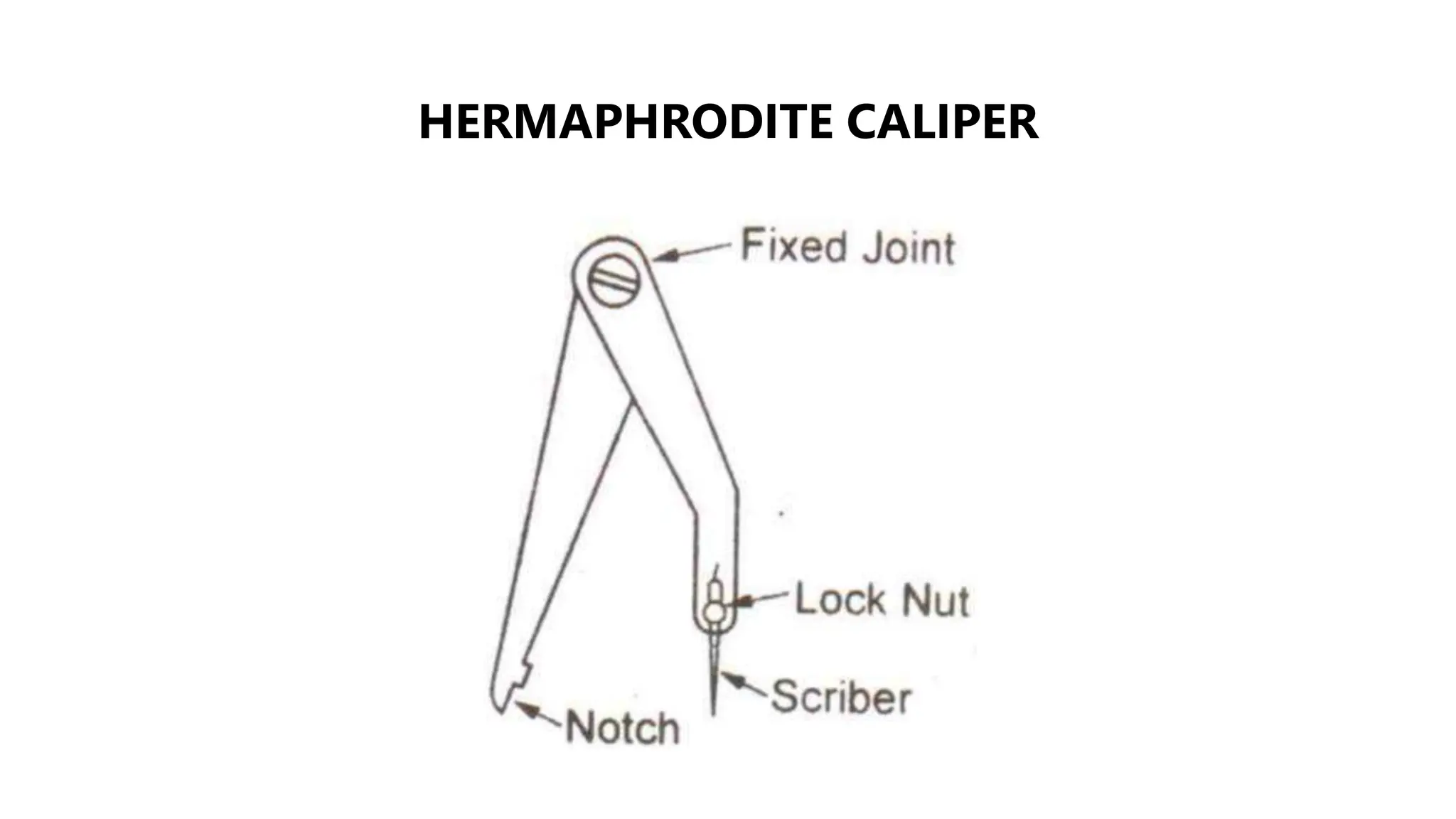 HERMAPHRODITE CALIPER
 
